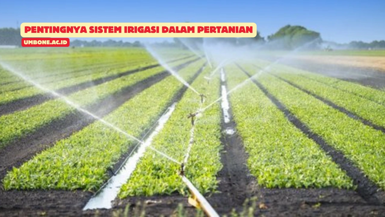 Pentingnya Sistem Irigasi dalam Pertanian